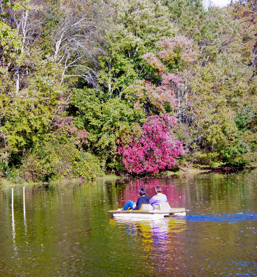 Paddle Boat Ride at Red Gates