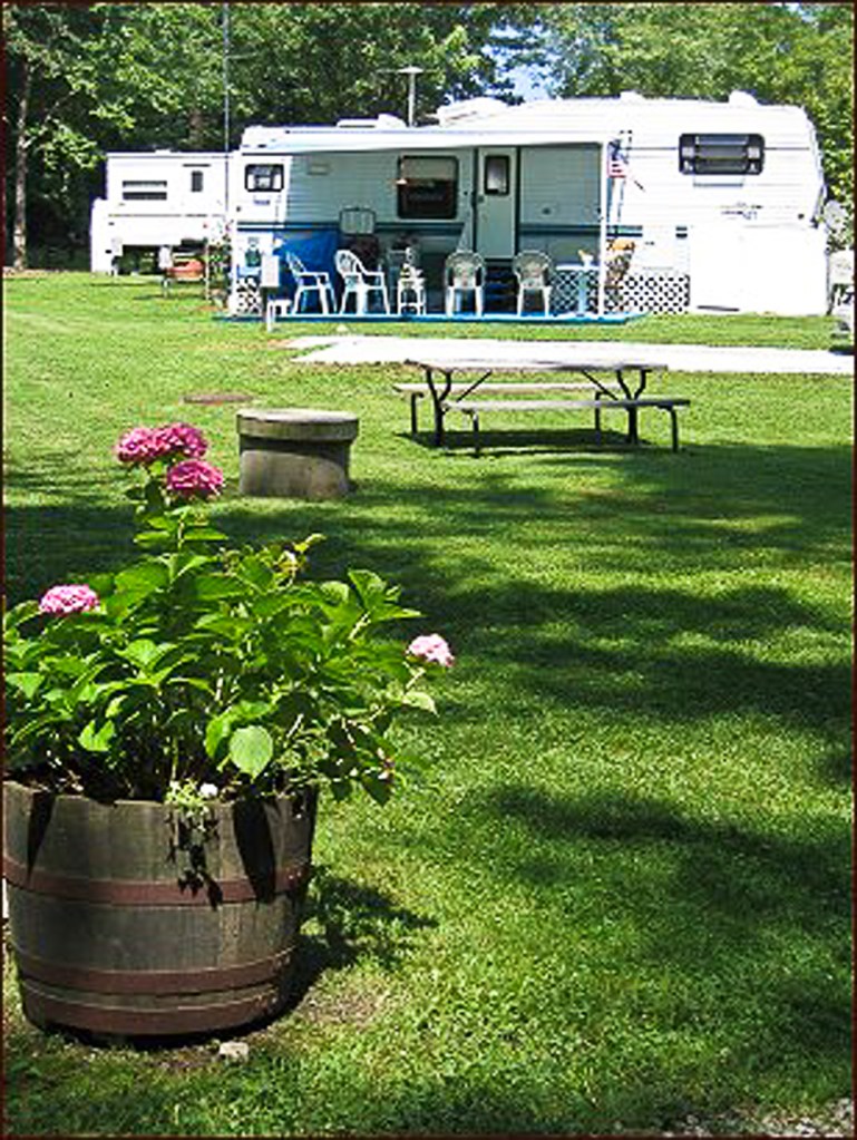 Flowers Blooming at Red Gates